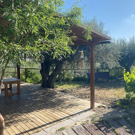 Villa Casaruibella Moratalla  Esterno foto