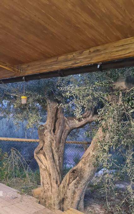 Villa Casaruibella Moratalla  Esterno foto