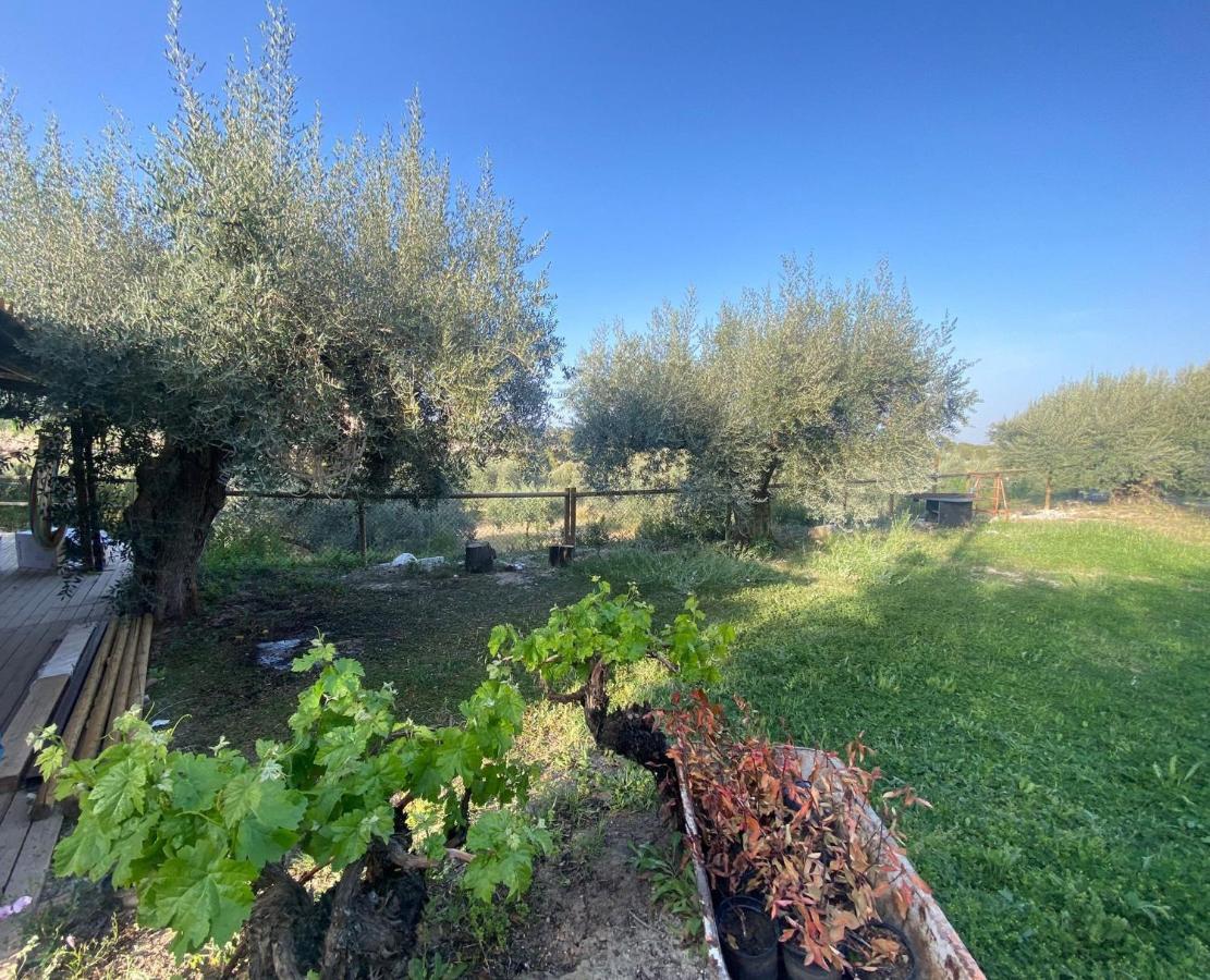 Villa Casaruibella Moratalla  Esterno foto