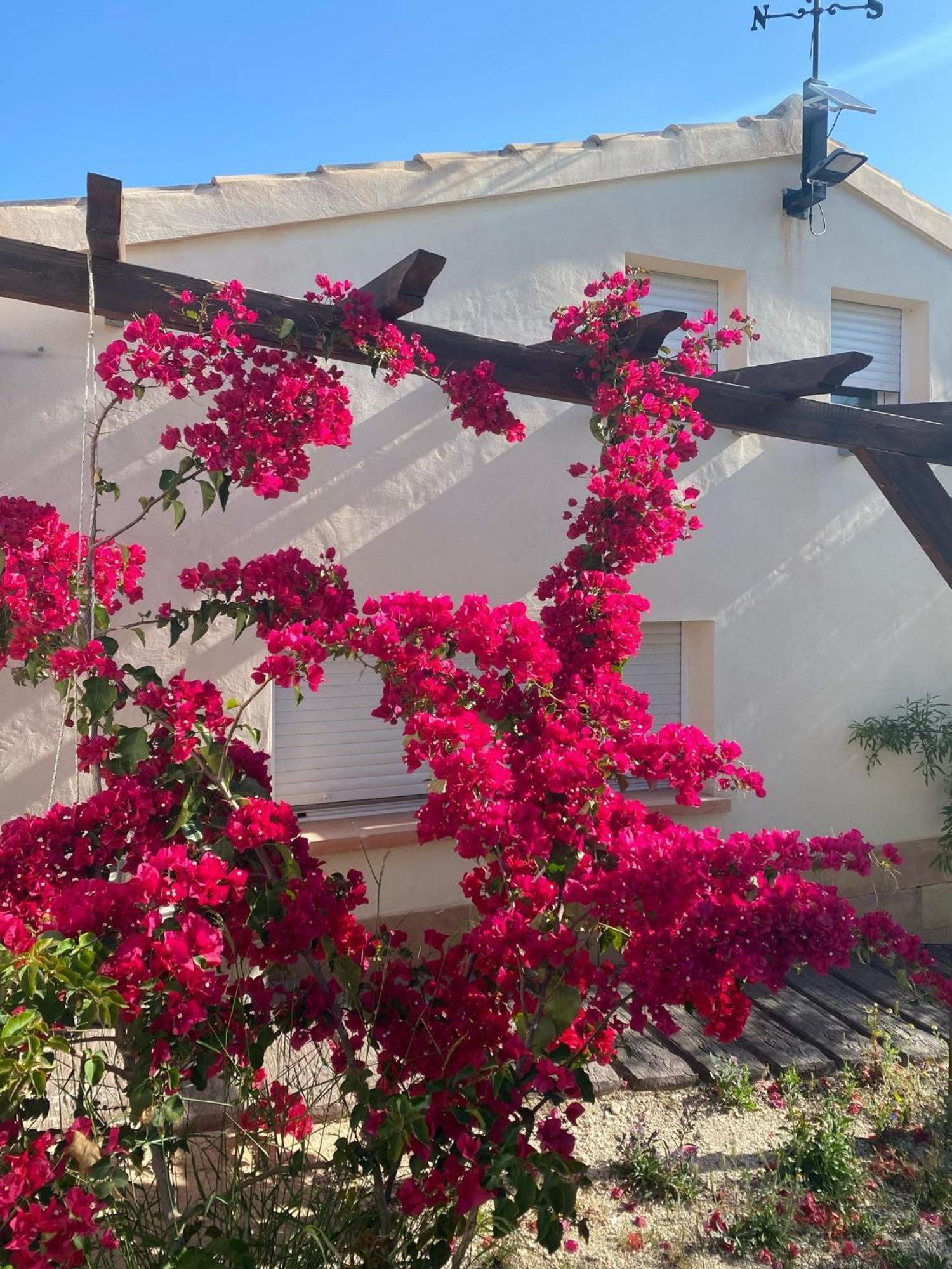 Villa Casaruibella Moratalla  Esterno foto